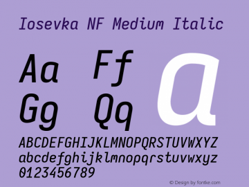 Iosevka Mayukai Serif Medium Italic Nerd Font Complete Windows Compatible Version 10.3.4; ttfautohint (v1.8.4)图片样张