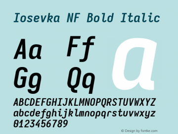 Iosevka Mayukai Monolite Bold Italic Nerd Font Complete Windows Compatible Version 10.3.4; ttfautohint (v1.8.4)图片样张