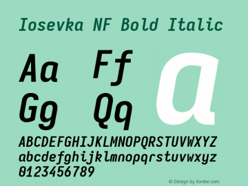 Iosevka Mayukai Codepro Bold Italic Nerd Font Complete Windows Compatible Version 10.3.4; ttfautohint (v1.8.4)图片样张