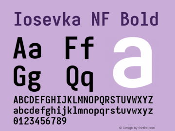 Iosevka Mayukai Sonata Bold Nerd Font Complete Mono Windows Compatible Version 10.3.4; ttfautohint (v1.8.4)图片样张
