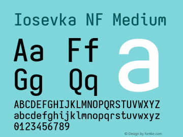 Iosevka Mayukai Serif Medium Nerd Font Complete Mono Windows Compatible Version 10.3.4; ttfautohint (v1.8.4)图片样张