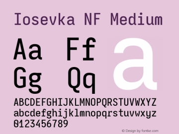 Iosevka Mayukai Monolite Medium Nerd Font Complete Mono Windows Compatible Version 10.3.4; ttfautohint (v1.8.4)图片样张