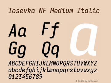 Iosevka Mayukai Monolite Medium Italic Nerd Font Complete Mono Windows Compatible Version 10.3.4; ttfautohint (v1.8.4)图片样张