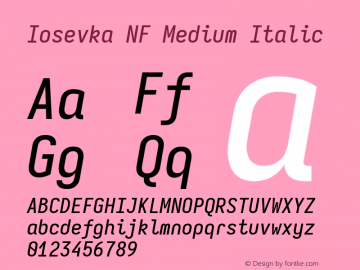 Iosevka Mayukai Monolite Medium Italic Nerd Font Complete Mono Windows Compatible Version 10.3.4; ttfautohint (v1.8.4)图片样张