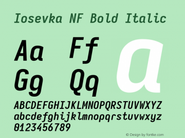 Iosevka Mayukai Codepro Bold Italic Nerd Font Complete Mono Windows Compatible Version 10.3.4; ttfautohint (v1.8.4)图片样张