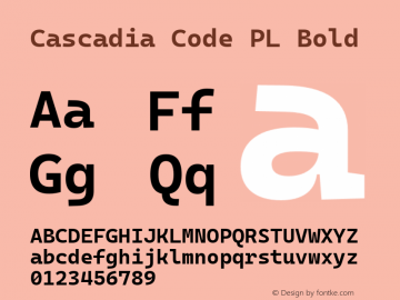 Cascadia Code PL Bold Version 2108.026图片样张