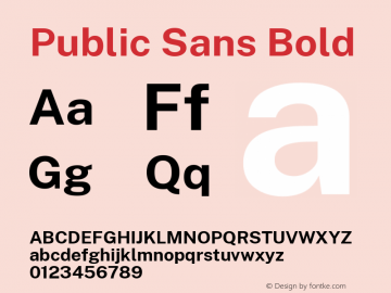 Public Sans Bold Version 2.000; ttfautohint (v1.8.3)图片样张