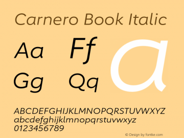 Carnero Book Italic Version 1.10, build 11, s3图片样张