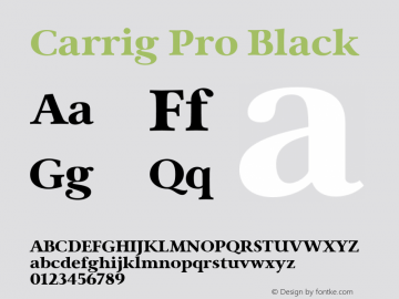 Carrig Pro Black Version 3.000;PS 003.000;hotconv 1.0.88;makeotf.lib2.5.64775图片样张