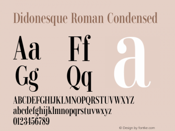 Didonesque Roman Condensed Version 1.000;PS 001.000;hotconv 1.0.88;makeotf.lib2.5.64775图片样张