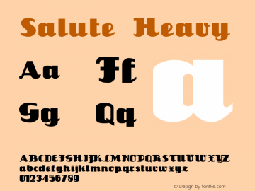 Salute Heavy 1.0 Sun Jan 07 21:17:48 1996图片样张