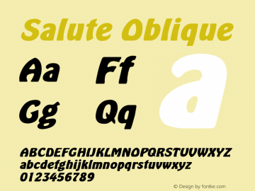 Salute Oblique 1.0 Thu Sep 22 17:34:57 1994图片样张