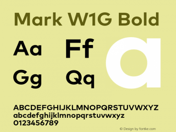 Mark W1G Bold Version 1.00, build 8, g2.6.4 b1272, s3图片样张