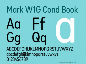 Mark W1G Cond Book Version 1.00, build 9, g2.6.4 b1272, s3图片样张