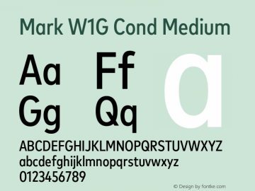 Mark W1G Cond Medium Version 1.00, build 9, g2.6.4 b1272, s3图片样张