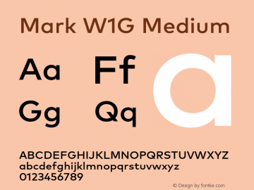Mark W1G Medium Version 1.00, build 8, g2.6.4 b1272, s3图片样张