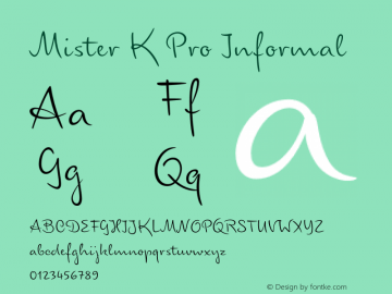 Mister K Pro Informal Version 7.504; 2011; Build 1034图片样张