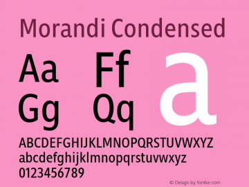 Morandi Cond Version 1.22, build 12, s3图片样张