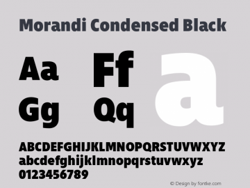 Morandi Cond Black Version 1.22, build 12, s3图片样张