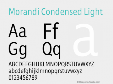 Morandi Cond Light Version 1.22, build 12, s3图片样张