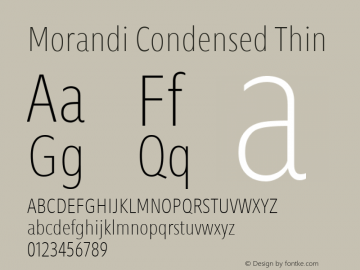 Morandi Cond Thin Version 1.22, build 12, s3图片样张