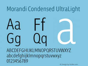 Morandi Cond UltraLight Version 1.22, build 12, s3图片样张