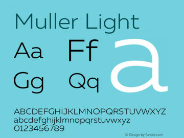 Muller-Light Version 1.000;PS 001.000;hotconv 1.0.88;makeotf.lib2.5.64775图片样张