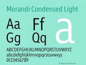 Morandi Cond Light Version 1.22, build 12, s3图片样张