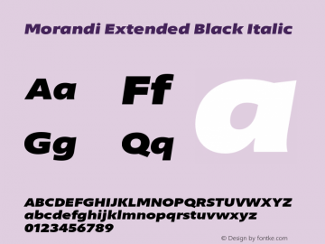 Morandi Ext Black Italic Version 1.22, build 12, s3图片样张