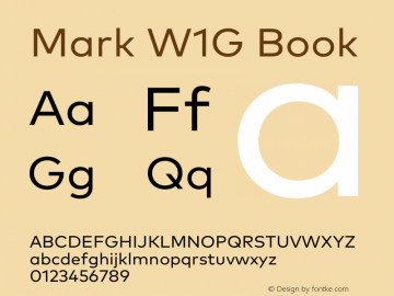 Mark W1G Book Version 1.00, build 8, g2.6.4 b1272, s3图片样张