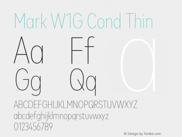 Mark W1G Cond Thin Version 1.00, build 9, g2.6.4 b1272, s3图片样张