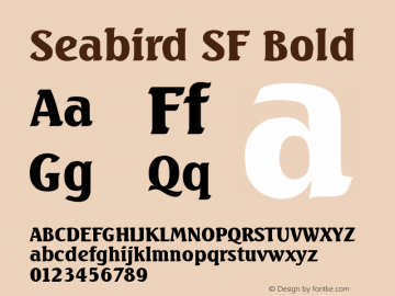 Seabird SF Bold Altsys Fontographer 3.5  9/23/93图片样张