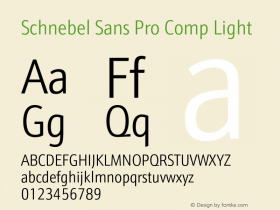 SchnebelSansProComp-Light Version 1.000;PS 1.00;hotconv 1.0.57;makeotf.lib2.0.21895图片样张