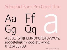 Schnebel Sans Pro Cond Thin Version 1.00图片样张