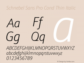 Schnebel Sans Pro Cond Thin Italic Version 1.00图片样张