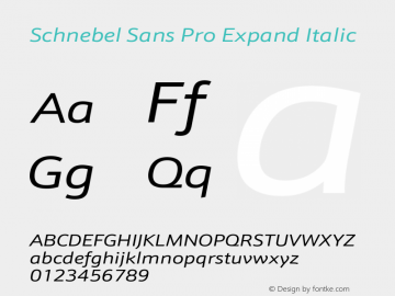 Schnebel Sans Pro Expand Italic Version 1.00图片样张