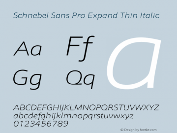 Schnebel Sans Pro Expand Thin Italic Version 1.00图片样张