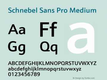 Schnebel Sans Pro Medium Version 1.00图片样张