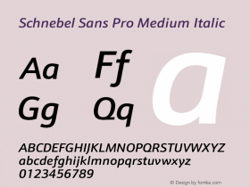 Schnebel Sans Pro Medium Italic Version 1.00图片样张