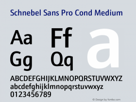 SchnebelSansProCond-Medium Version 1.000;PS 1.00;hotconv 1.0.57;makeotf.lib2.0.21895图片样张