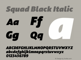 Squad Black Italic Version 1.000;PS 001.000;hotconv 1.0.88;makeotf.lib2.5.64775图片样张