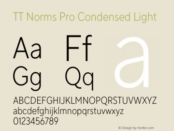 TT Norms Pro Condensed Light Version 3.000.12072021图片样张