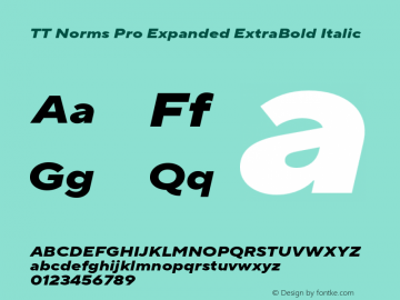 TT Norms Pro Expanded ExtraBold Italic Version 3.000.12072021图片样张