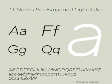 TT Norms Pro Expanded Light Italic Version 3.000.12072021图片样张