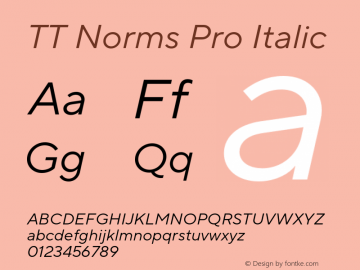 TT Norms Pro Italic Version 3.000.12072021图片样张