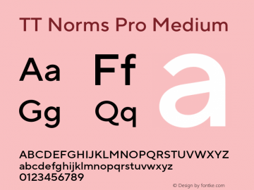 TT Norms Pro Medium Version 3.000.12072021图片样张