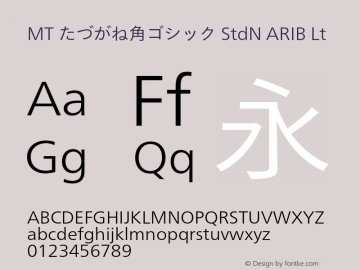 たづがね角ゴシック StdN ARIB Lt Version 1.04图片样张