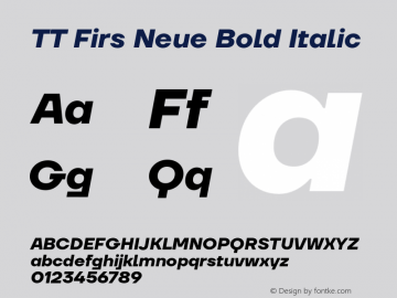 TT Firs Neue Bold Italic Version 1.100图片样张