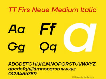TT Firs Neue Medium Italic Version 1.100图片样张