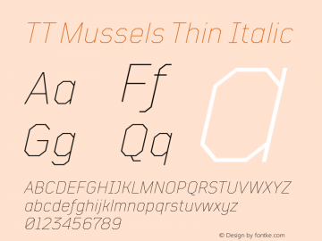TT Mussels Thin Italic Version 1.010.17122020图片样张